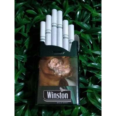 Сигареты Winston Wild Mint (Green)