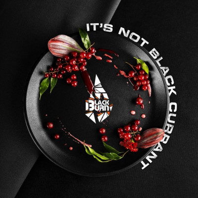 Табак для кальяна Black Burn It's not Black Currant (Красная смородина) 200 г