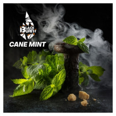 Табак для кальяна Black Burn Cane Mint (Тростниковая мята) 25 г