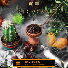Табак для кальяна Element Земля Cactus Fig (Кактусовый финик) 40 г