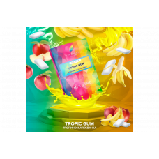 Табак для кальяна Spectrum Mix Line 40г - Tropic Gum (Тропическая жвачка)