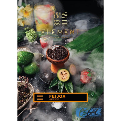 Табак для кальяна Element Земля - Feijoa (Фейхоа) 25гр