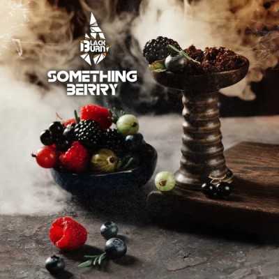 Табак для кальяна Black Burn Something Berry (Что-то ягодное) 100 г