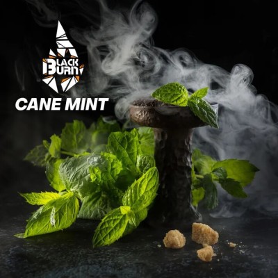 Табак для кальяна Black Burn Cane Mint (Тростниковая мята) 100 г