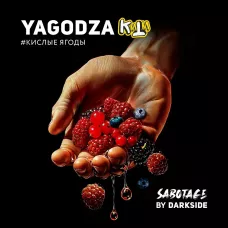 Табак для кальяна Darkside Sabotage Yagodza (Кислые Ягоды) 30 г Табак для кальяна Darkside Sabotage Yagodza (Кислые Ягоды) 30 г
