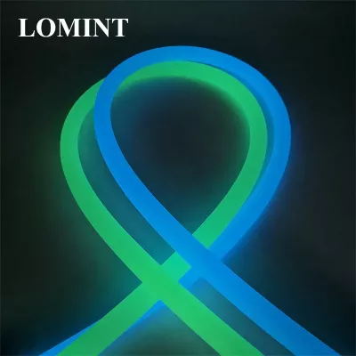 Шланг светящийся LOMINT Зелёный