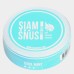 Снюс Siamsnus Cool Mint Dry 6 мг/г (бестабачный)