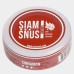 Снюс Siamsnus Cinnamon Dry 6 мг/г (бестабачный)