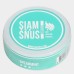 Снюс Siamsnus Spearmint Dry 6 мг/г (бестабачный) Снюс Siamsnus Spearmint Dry 6 мг/г (бестабачный)