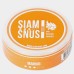 Снюс Siamsnus Mango Dry 6 мг/г (бестабачный)