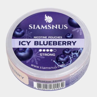 Снюс Siamsnus Icy Blueberry 22 мг/г (бестабачный)