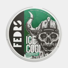 Снюс FEDRS Ice Cool Double Mint 65 мг/г (бестабачный)