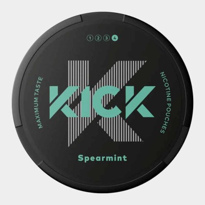 Снюс KICK Spearmint 24 мг/г (бестабачный)
