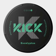 Снюс KICK Eucalyptus 30 мг/г (бестабачный) Снюс KICK Eucalyptus 30 мг/г (бестабачный)