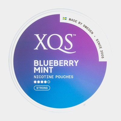Снюс XQS Blueberry Mint 16 мг/г (бестабачный)